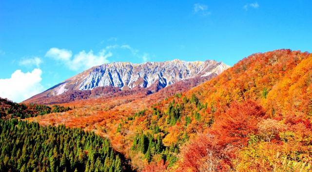 大山の紅葉風景